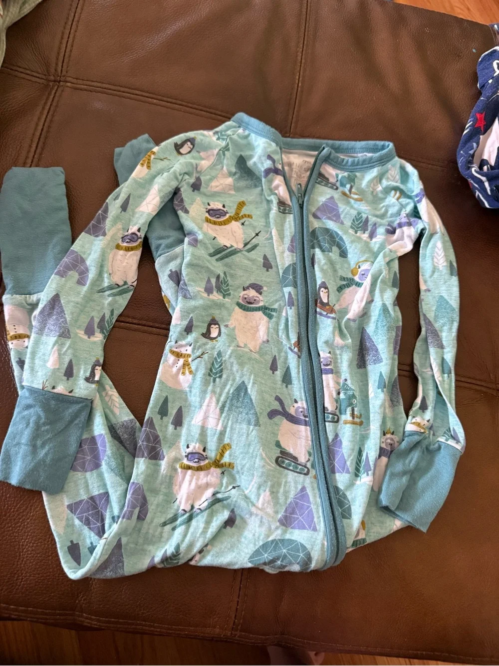 Little Sleepies Teal Arctic Animal Footed One-Piece
